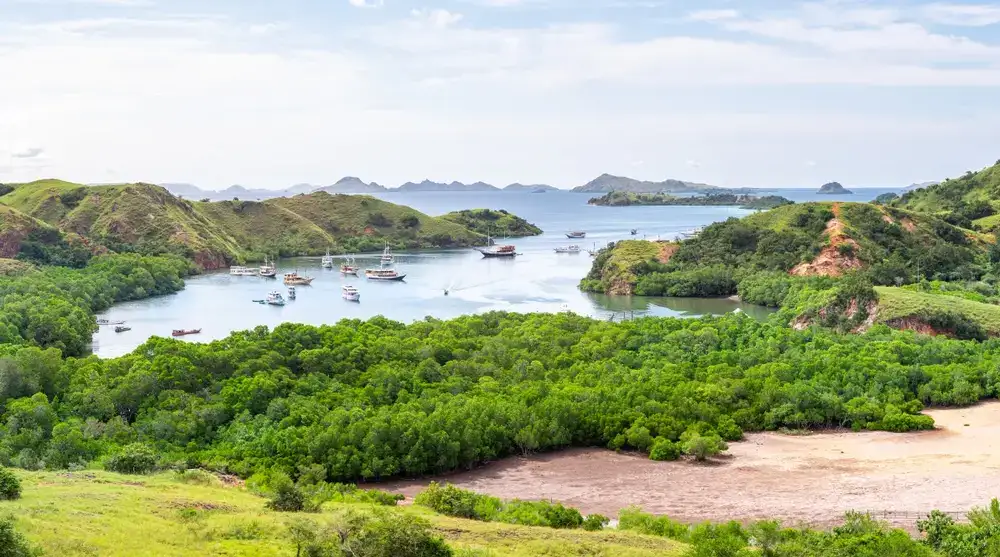 Pulau Rinca